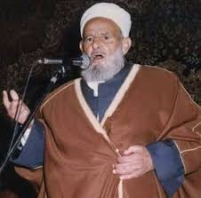 علي منصور الحموي...
